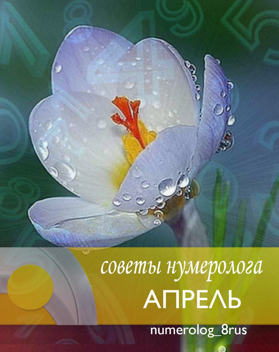 Нумерология на каждый день