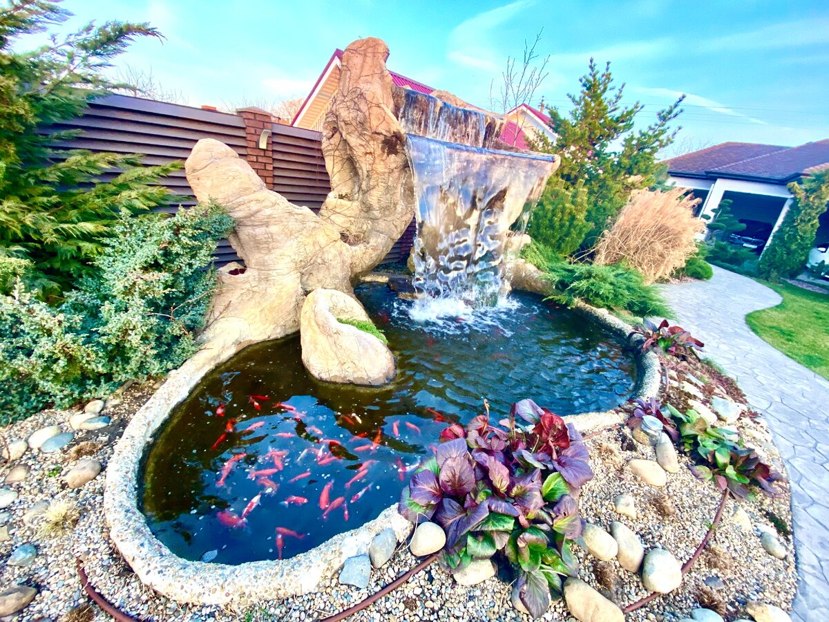 Небольшой пруд во дворе одного из домов в Краснодаре