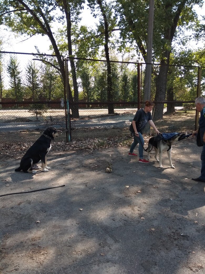 фото из личного архива