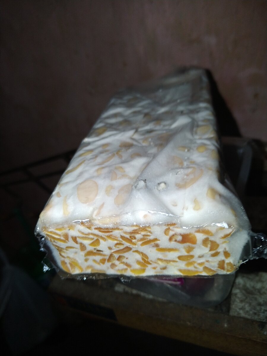 Темпе, фото личное, сделано у нас в кухне.
