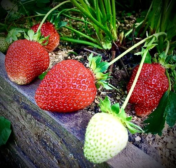 Фото из архива