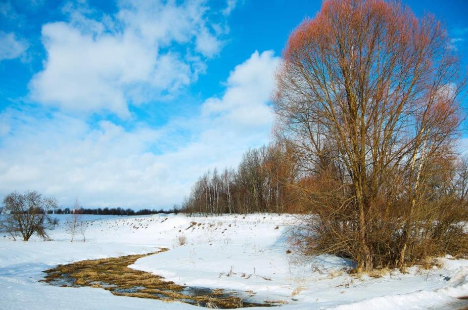 Фото — photocentra.ru