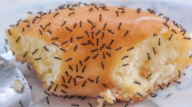 С сайта yandex.ru