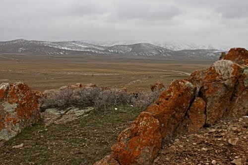Фото: Яндекс картинки