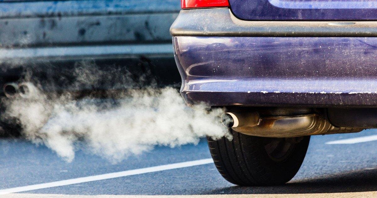 Фото взято с Яндекс картинки.