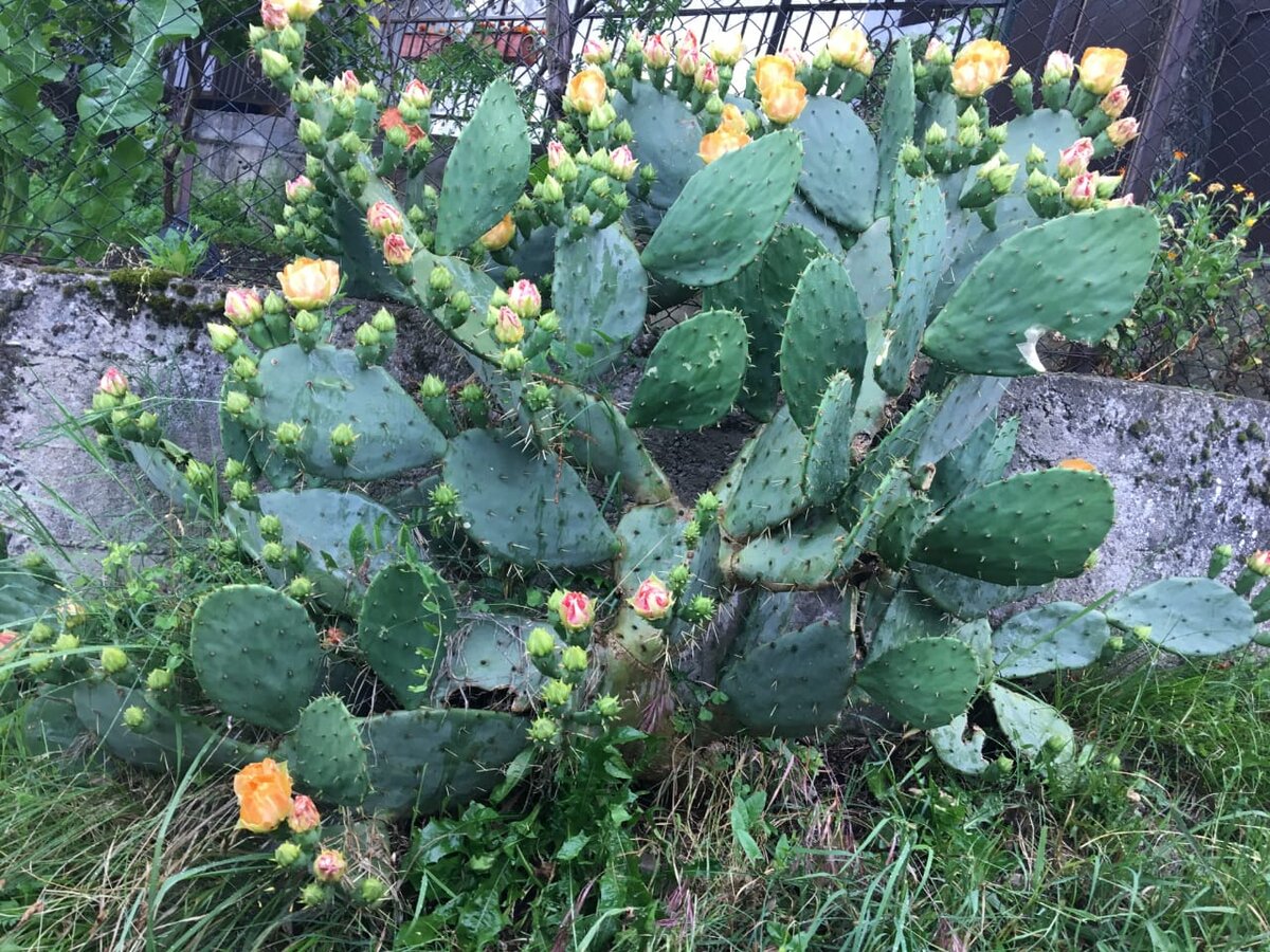 Здесь и далее фото из домашнего архива