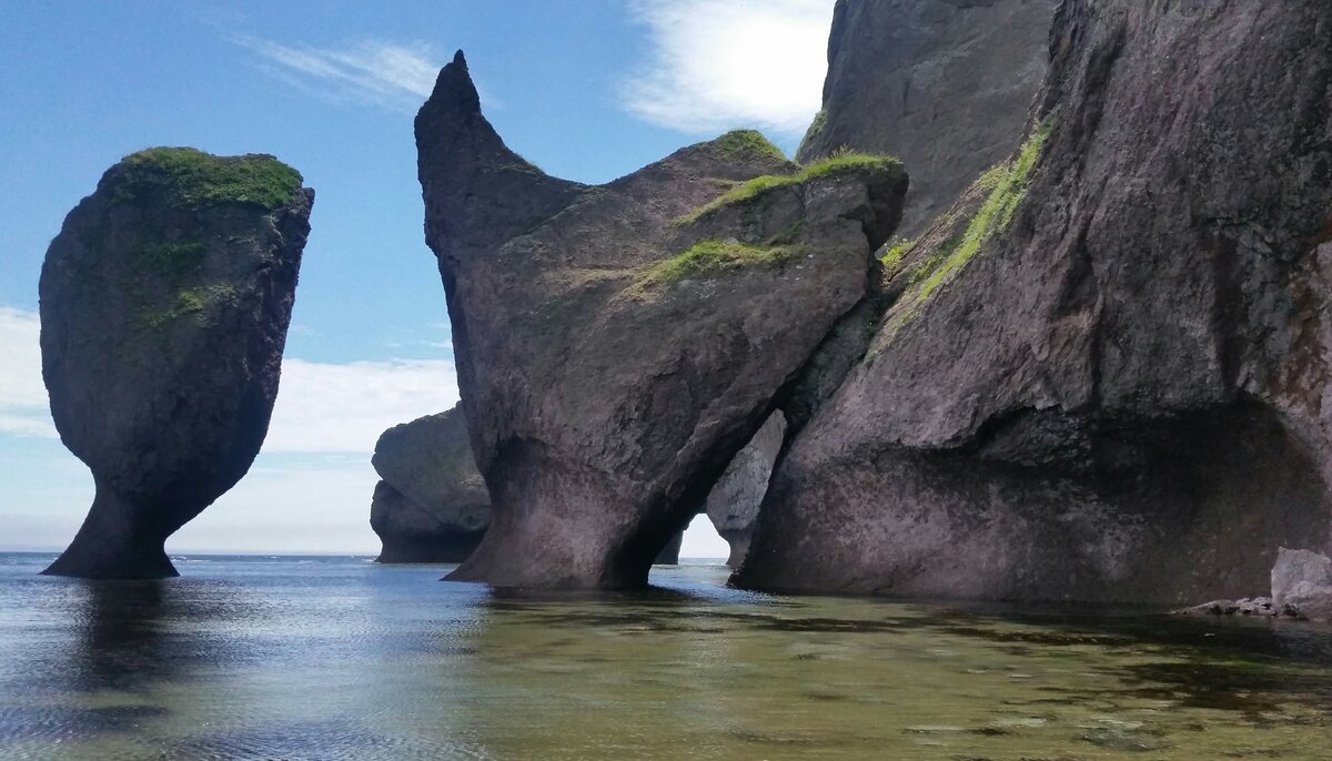 Рюмка и Петух