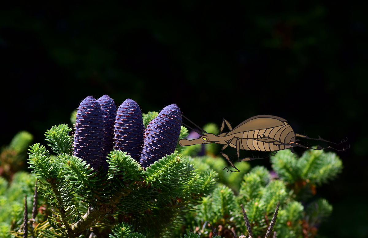 Источник каменного мёда