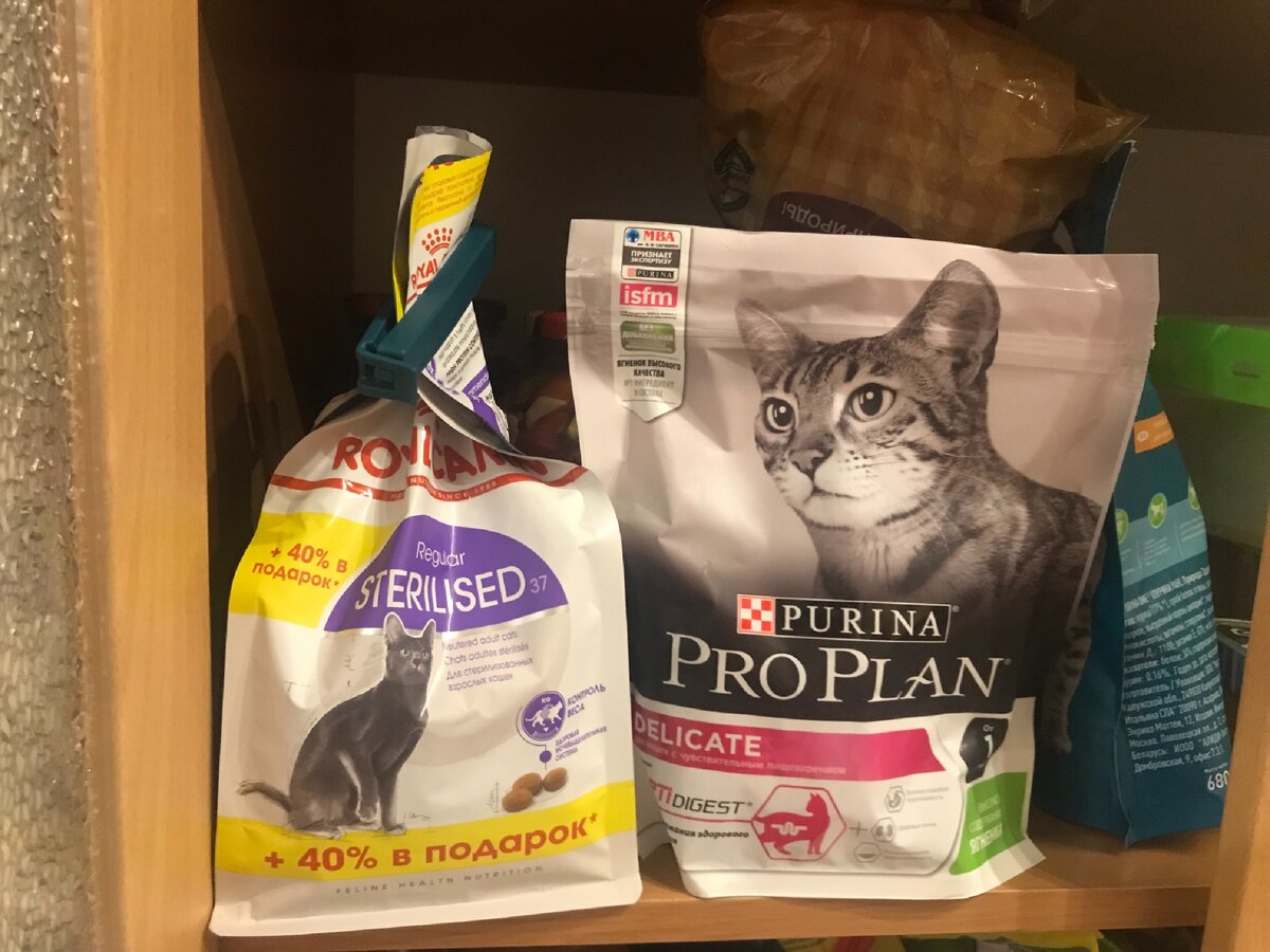 Вот такие взяла на пробу...