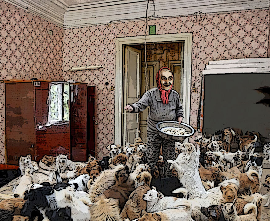 Женщина кормит собак