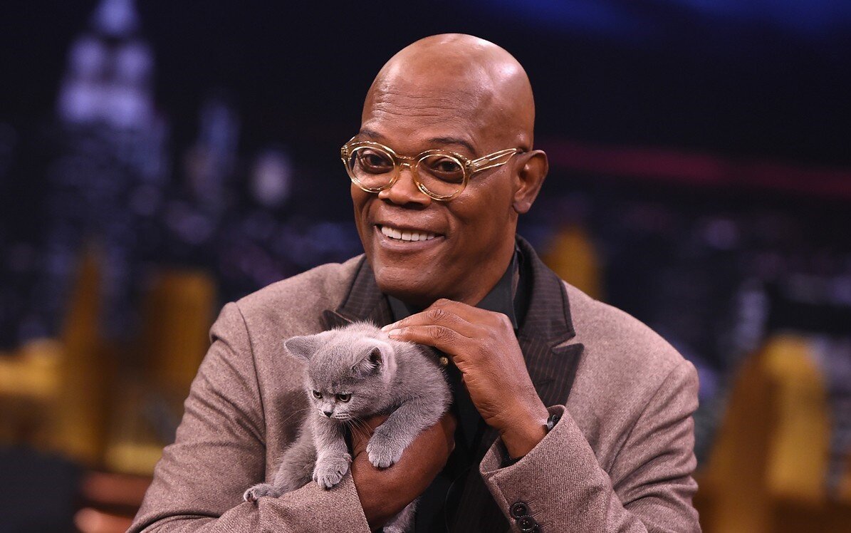 Фото с сайта Яндекс.Новости