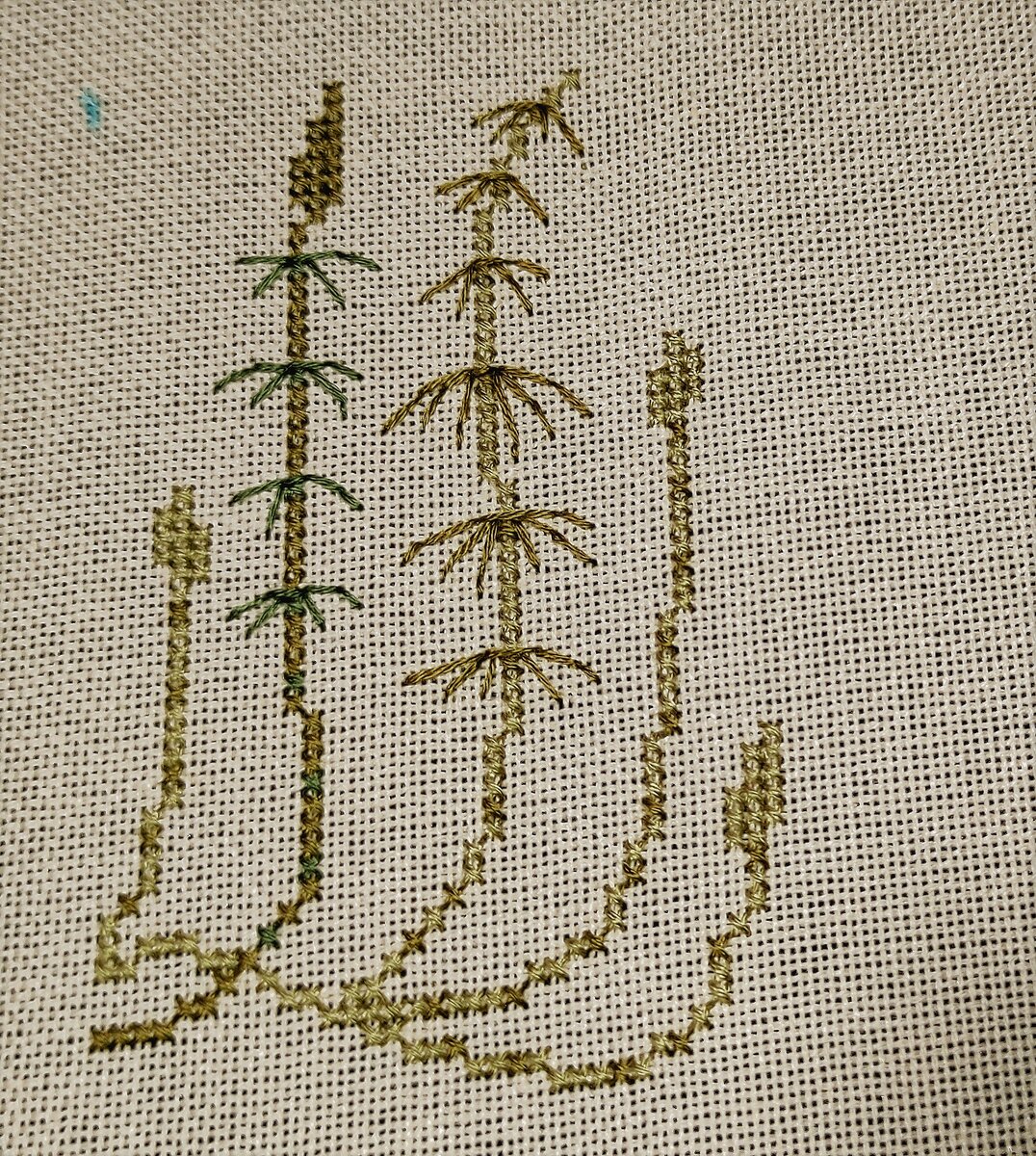 Первый хвощ не комом, фото автора