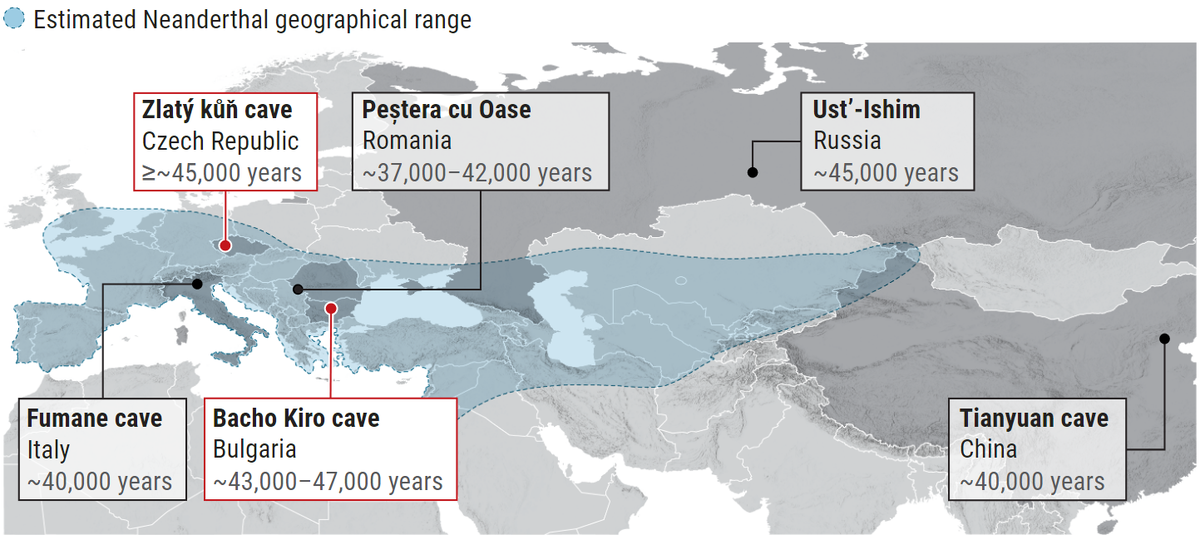 Предполагаемый географический ареал неандертальцев