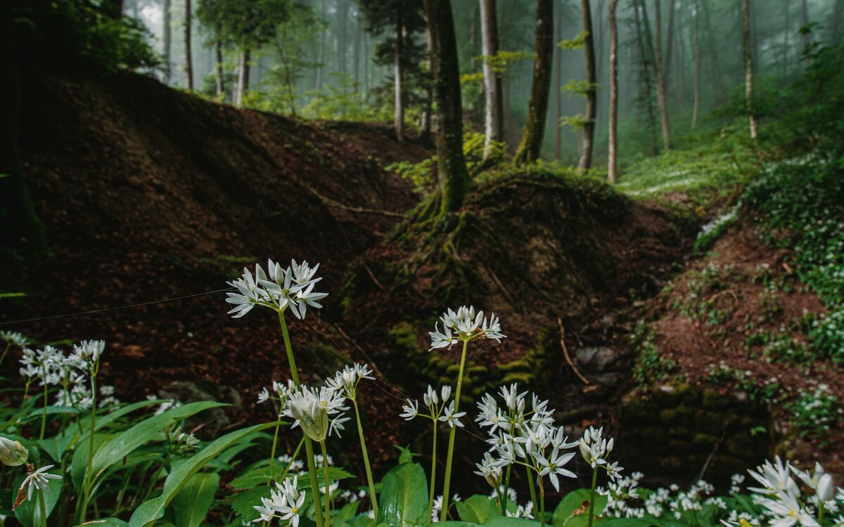 Photo by Stefan Heesch on Unsplash 