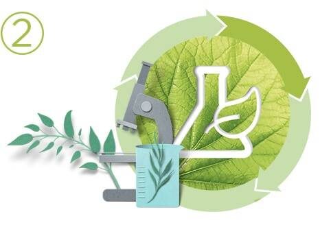 https://www.garnier.ru/