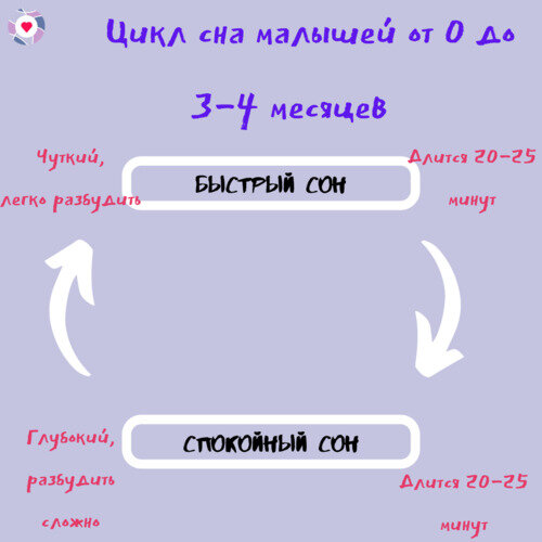 Схематично цикл сна ребенка до 3-4 месяцев можно представить так. Главное запомнить: быстрый сон - чуткий. Ждем 20-25 минут после засыпания и только потом перекладываем