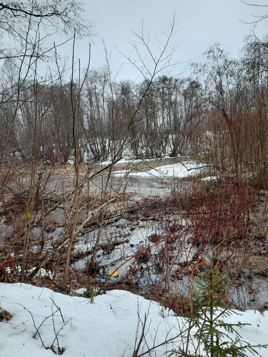 Весна идет!