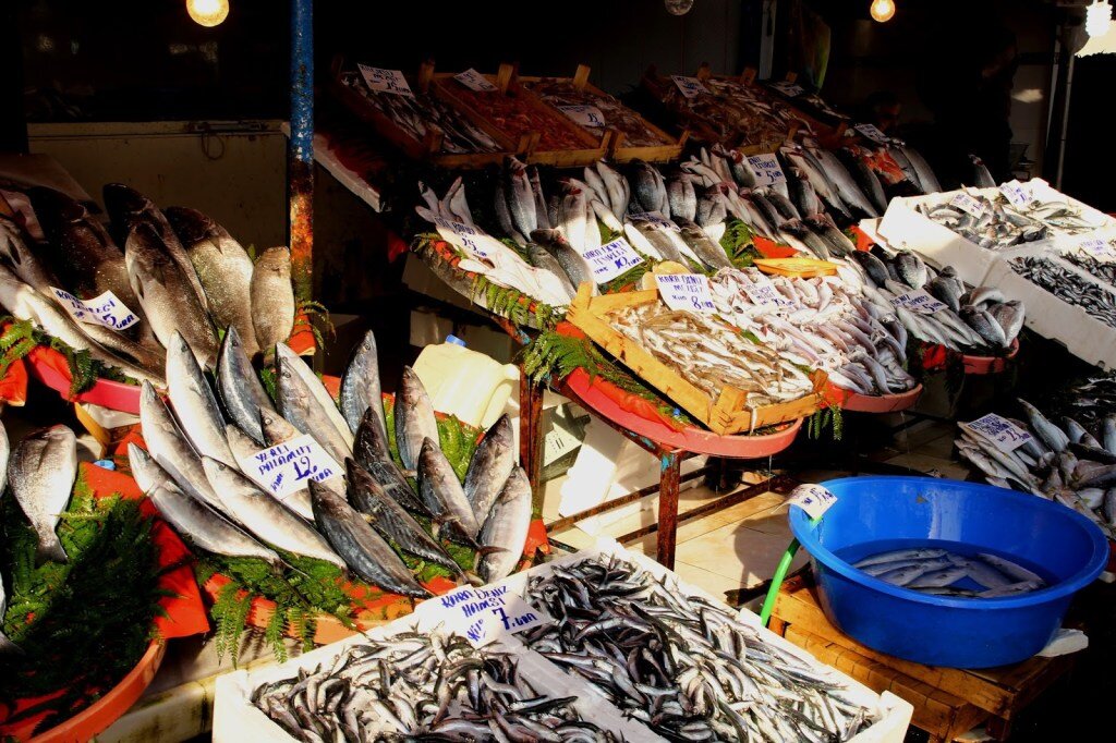 Названия рыб и морепродуктов на турецком языке | İstanbulские заметки |  Дзен