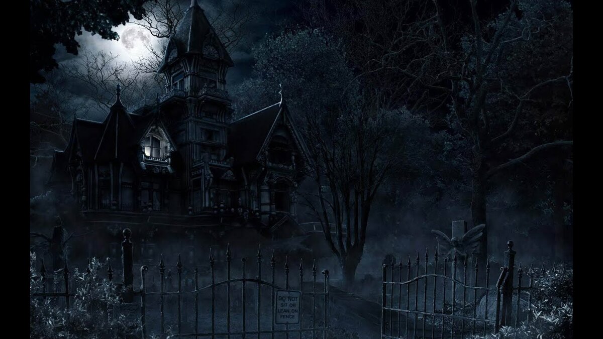 Фото без авторских прав.