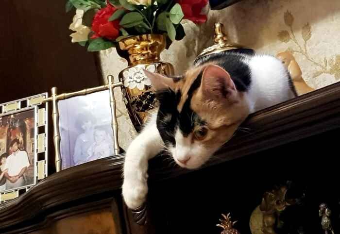 Марфушенька-Душенька