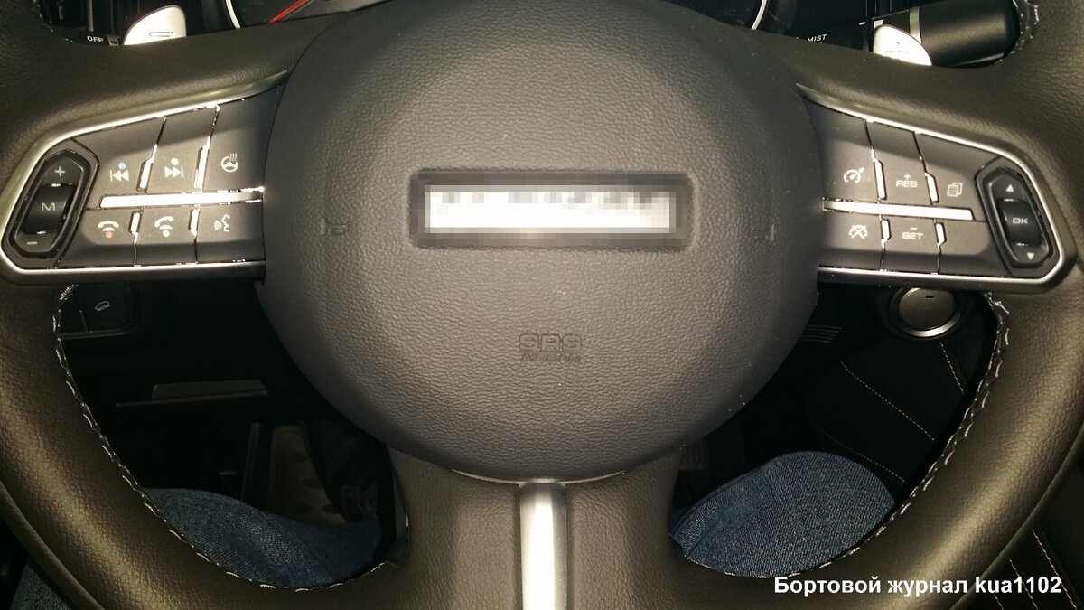 Внешний вид мультируля автомобиля. Автор фотографии kua1102