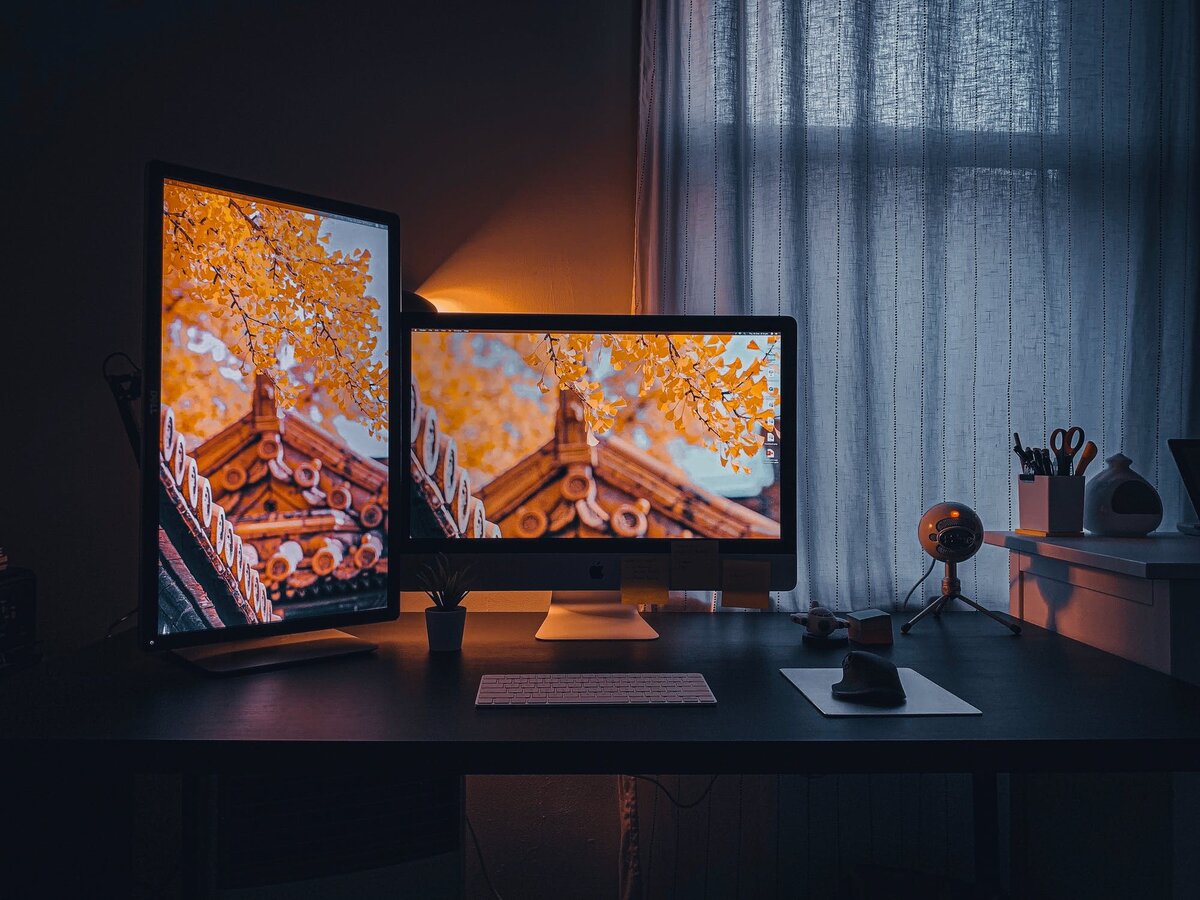 Взято с открытого источника pexels.com