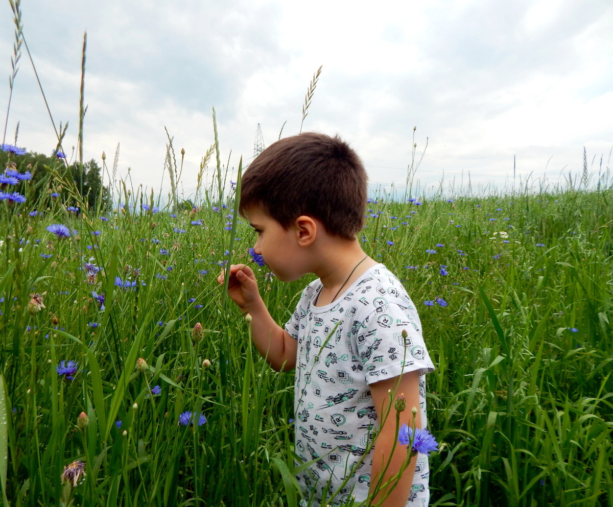 фото из открытого доступного источника сети интернет