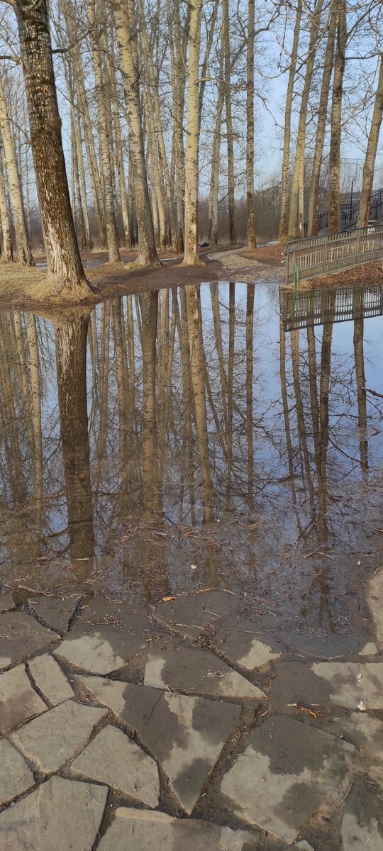 Первое препятствие у перехода. 