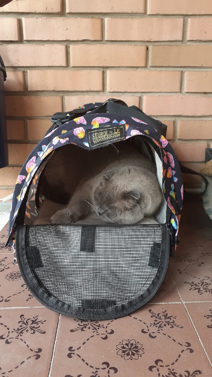 Спит, кстати, тоже у себя.
