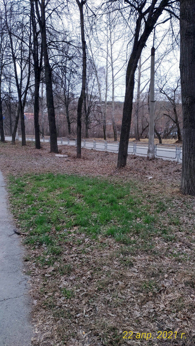 Простой секрет - под травой теплотрасса (тепличные условия)