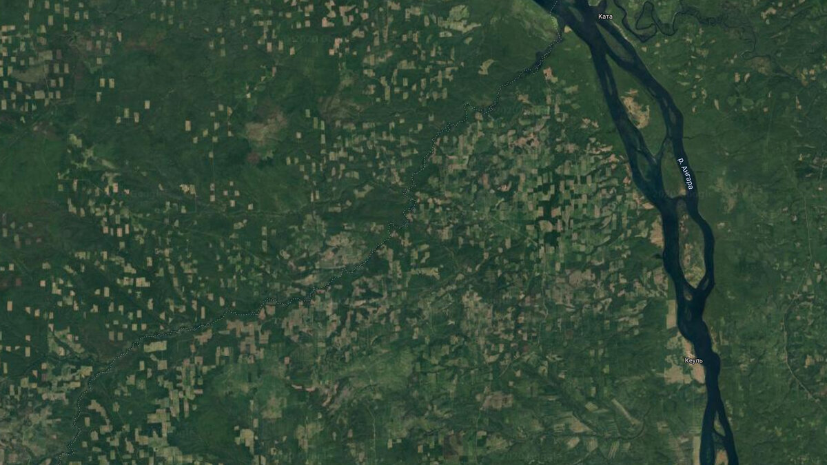 Яндекс картинки. Плешины от вырубок тайги в районе Братского водохранилища.