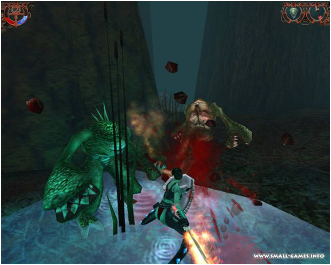 Местные аборигены, которые, судя по строению, свободно могут есть за троих.