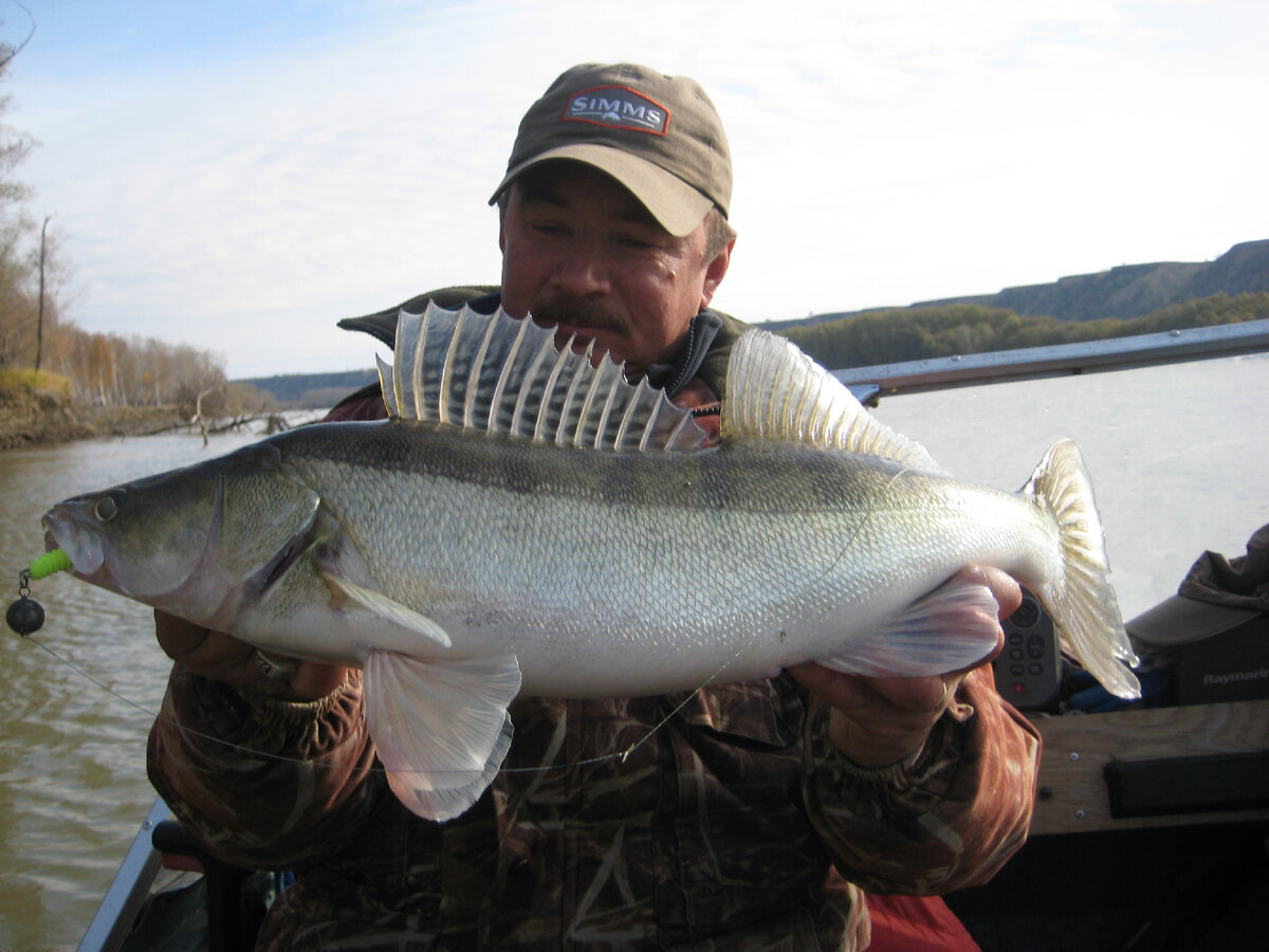 Поздняя осень,  пожалуй лучшее время для поимки трофейного судака. Фото автора Андрея Калачева.