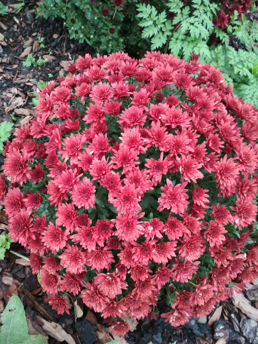 Листайте галерею вправо.