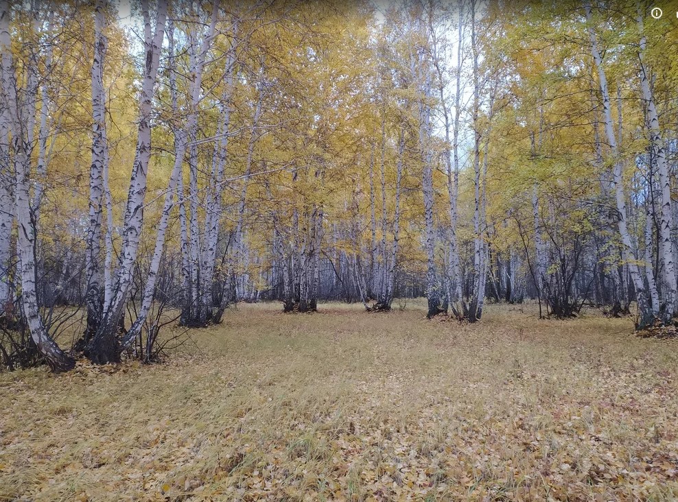 У меня своя 