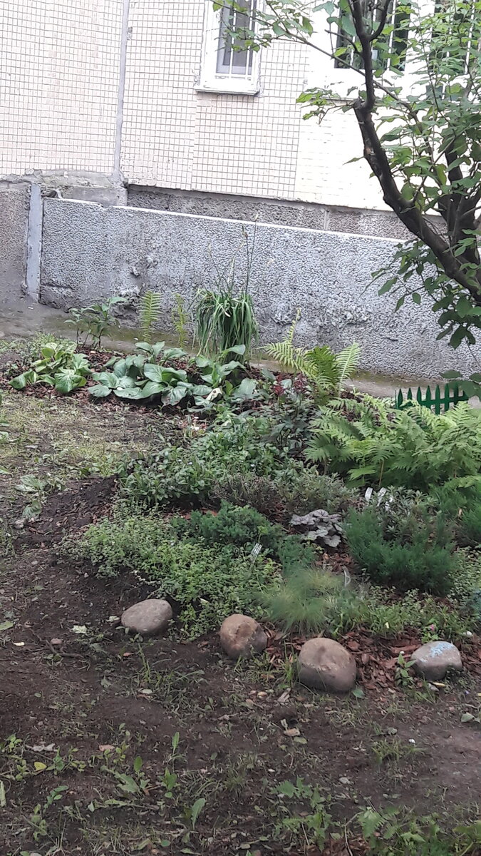 Вид с боку. Фото автора от август 2019 года