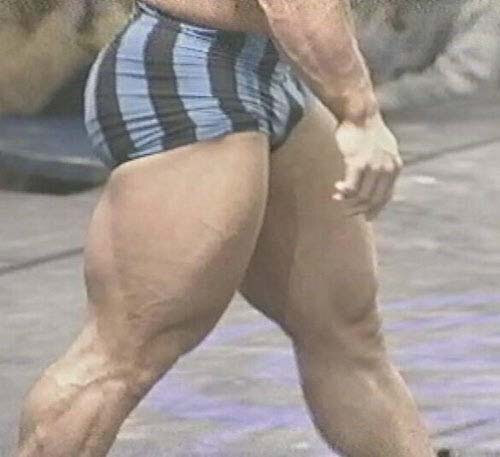 развитый бицепс бедра