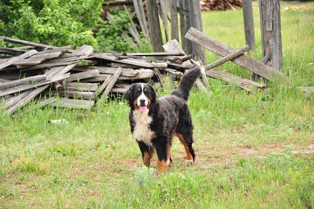 Та самая Юлана на фоне каких-то эпических развалин