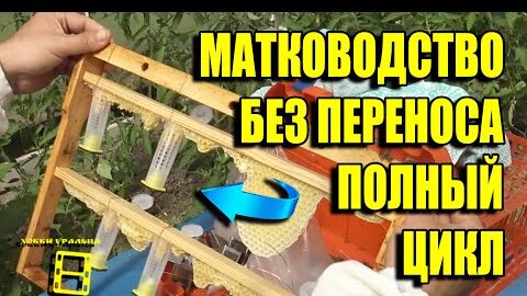 УНИКАЛЬНЫЙ ВЫВОД ПЧЕЛИНЫХ МАТОК И ПЧЕЛИНЫЕ ОТВОДКИ ВСЕ В ОДНОМ РОЛИКЕ ДЛЯ НАЧИНАЮЩИХ ПЧЕЛОВОДОВ 22-4