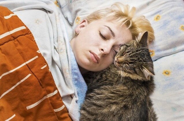 Нельзя упускать из виду и тот факт, что кошки вообще довольно мнительны по натуре, а потому не соглашаются спать, где и с кем попало. Если пушистик делит свои ночи с человеком, то только потому, что особенно ценит последнего и чувствует себя хорошо в его присутствии.