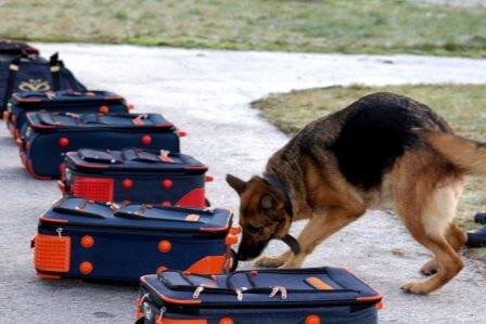 Картинка из свободного доступа