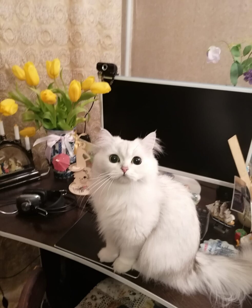 Нюша поздравляет всех с праздником!