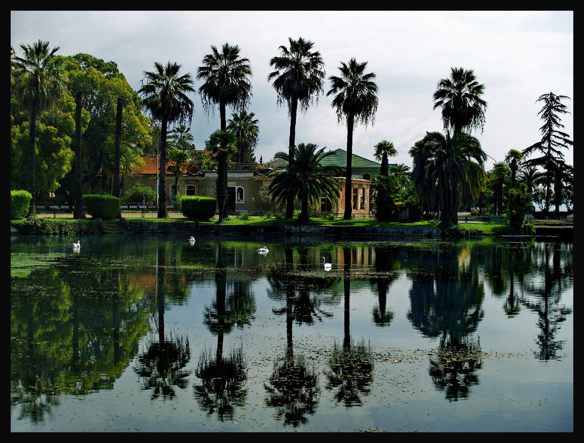 Новый Афон - монастырские пруды - январь 2008 