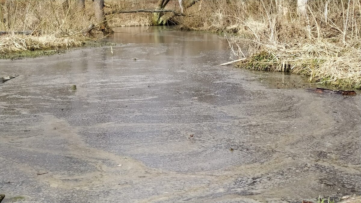 Последствия работы завода.