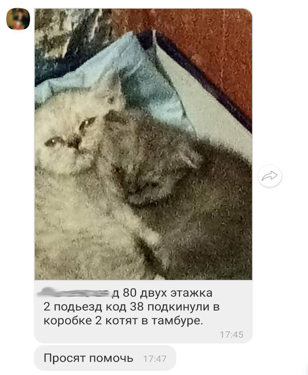 Забудь заботы и держи трубой хвост