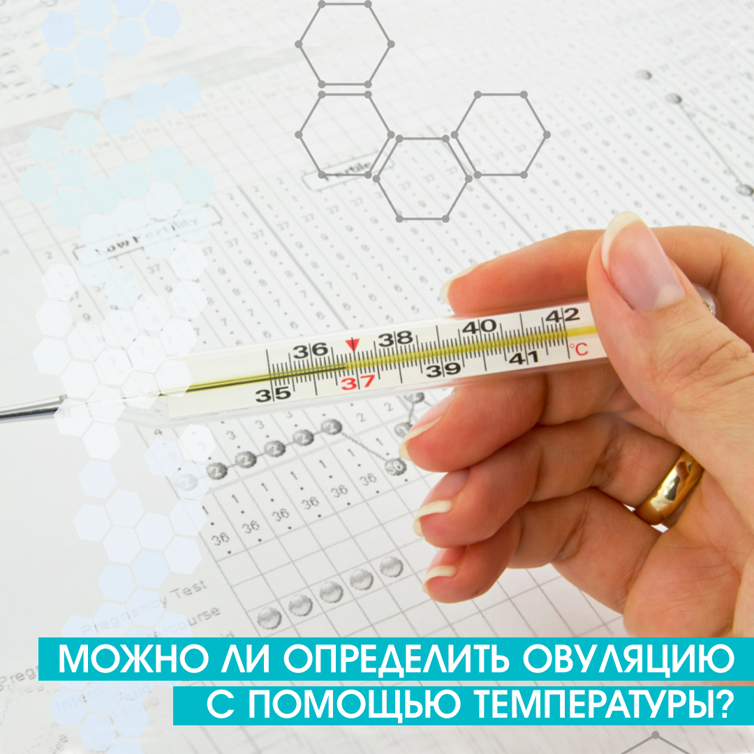 Как определить овуляцию у женщин. Как определить овуляцию у женщин