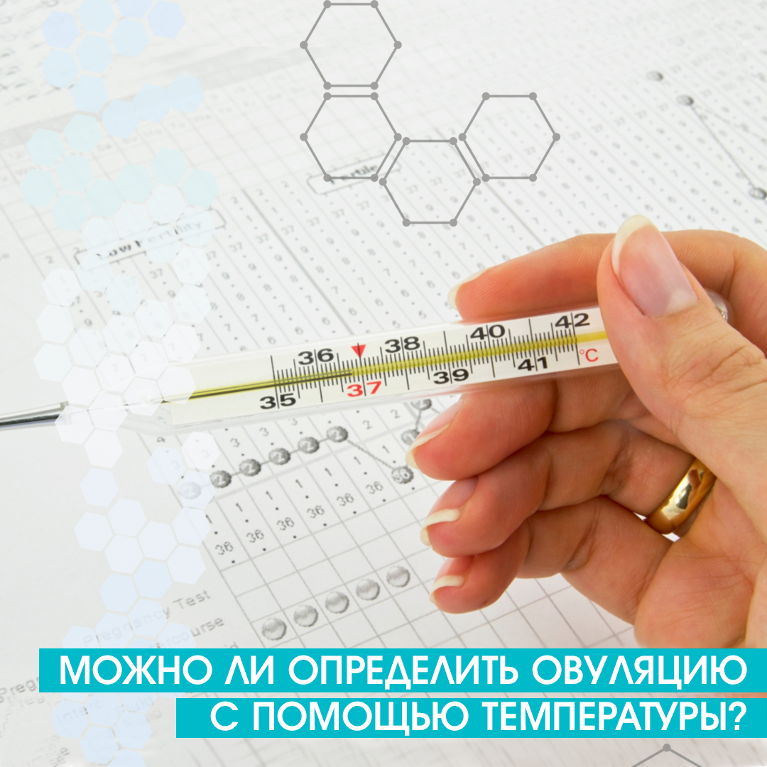 Как определить овуляцию в домашних