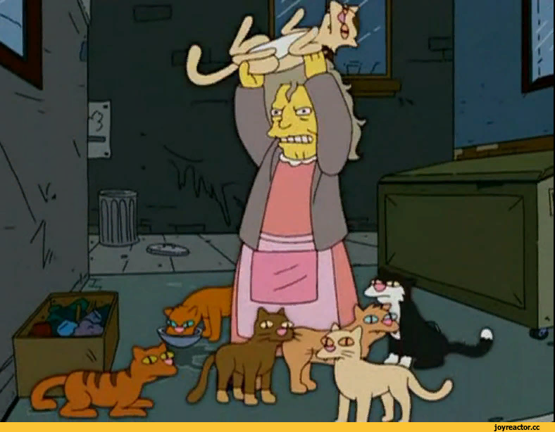 Сумасшедшая кошатница из "Симпсонов". Нет такой ситуации, которую нельзя проиллюстрировать "Симпсонами" :) 