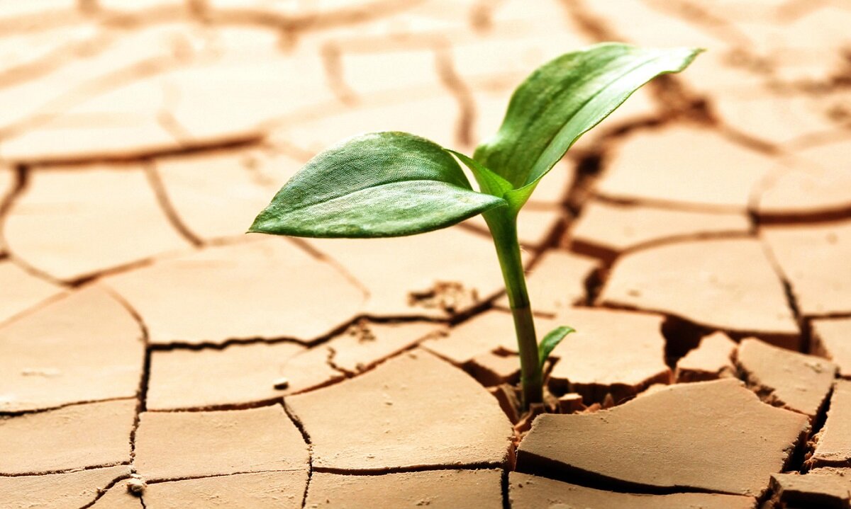 Пятьдесят третья глава книги пророка Исаии содержит предсказание о первом пришествии Мессии, Спасителе мира, Иисусе Христе, и оно начинается такими словами: "Кто поверил слышанному от нас и кому...-2