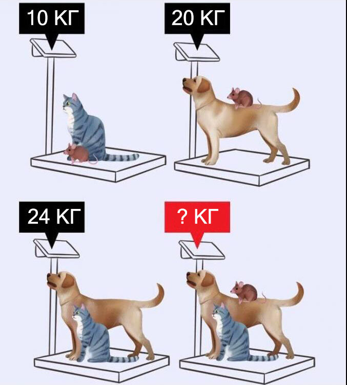 Математическая задачка: каков вес всех животных, вместе взятых